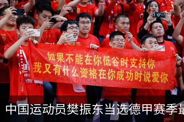 中国运动员樊振东当选德甲赛季最佳球员