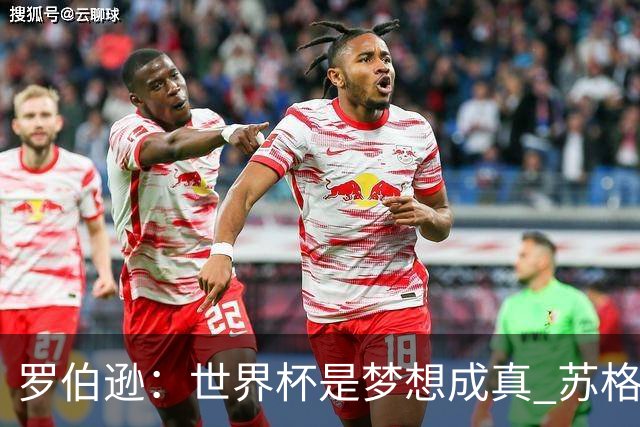 罗伯逊：世界杯是梦想成真 苏格兰已从上届欧洲杯吸取教训